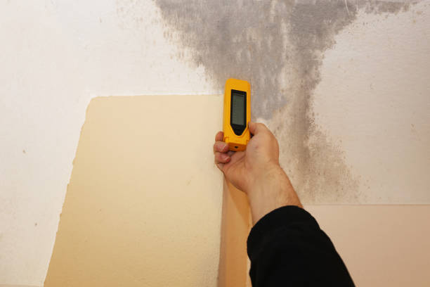Best Air Quality Testing for Mold Spores  in Hurlburt Field, FL