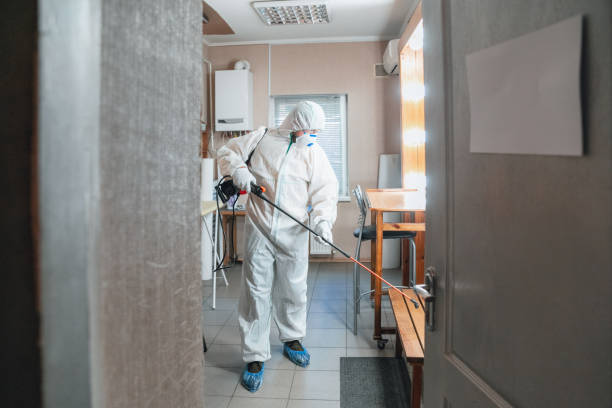 Best Mold-Related Health Consultation  in Hurlburt Field, FL