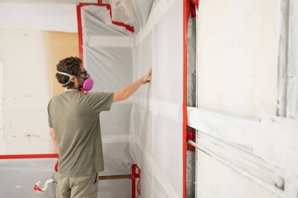 Best Commercial Mold Inspection  in Hurlburt Field, FL