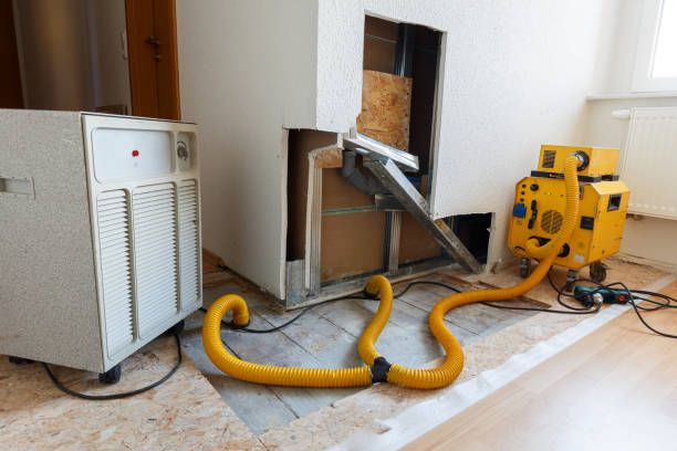 Best Emergency Mold Remediation  in Hurlburt Field, FL